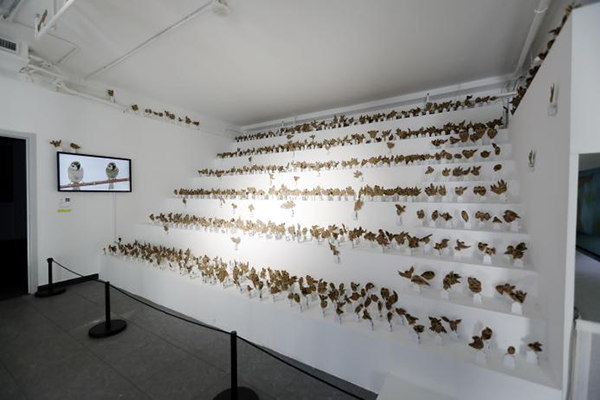 米乐M6 米乐且歌且行 且行且知——中央美术学院实验艺术与科技艺术学院实践教学成果亮相2023北京国际设计周(图12)