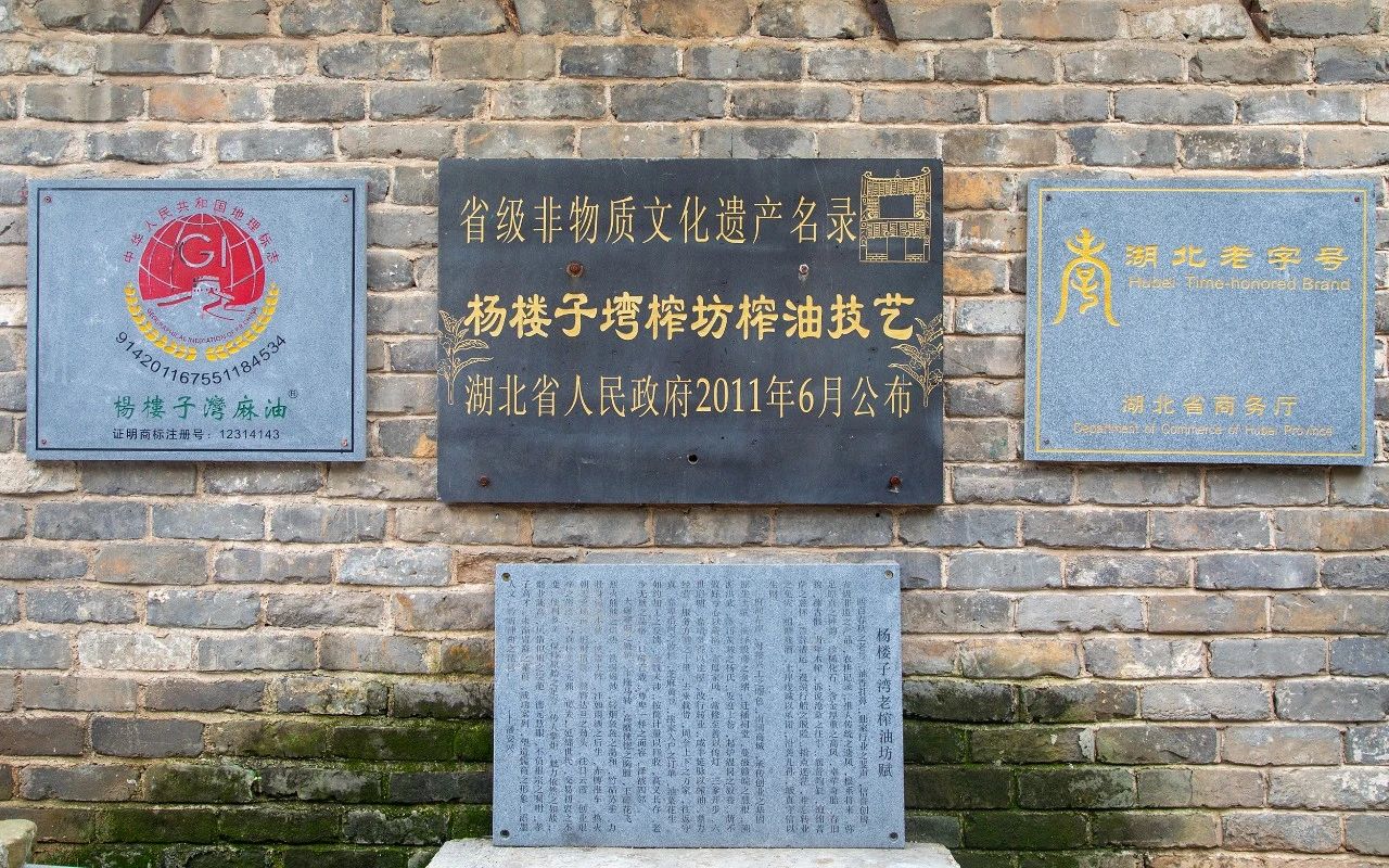 黄陂这家穿越450余年的非遗博物馆成为高校教学科研实践基地(图4)