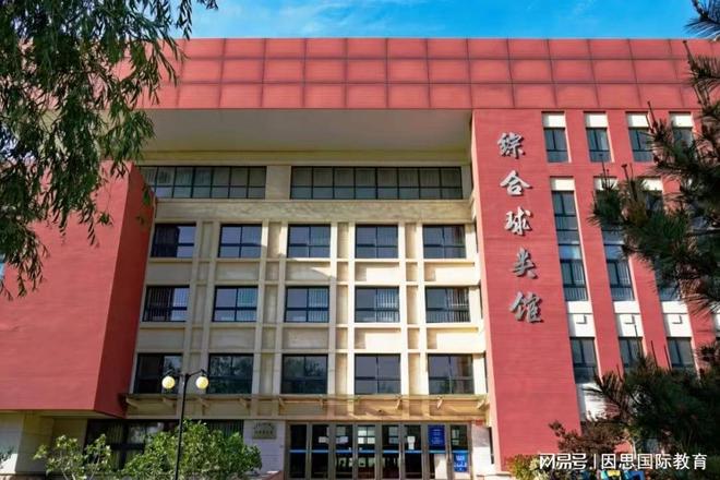 高考滑档补救方案！山东1+3国际本科排名项目助你迈入海外TOP名校(图2)
